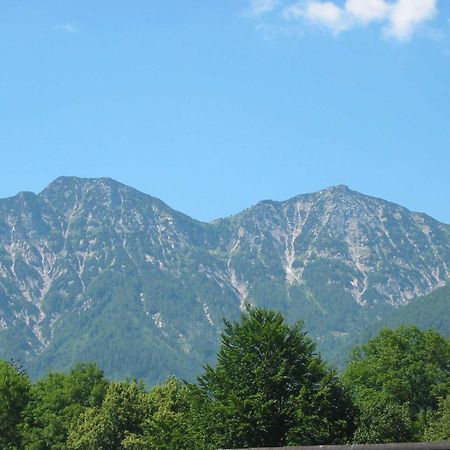 Ferienwohnungen Haus Elisabeth Bad Goisern Esterno foto