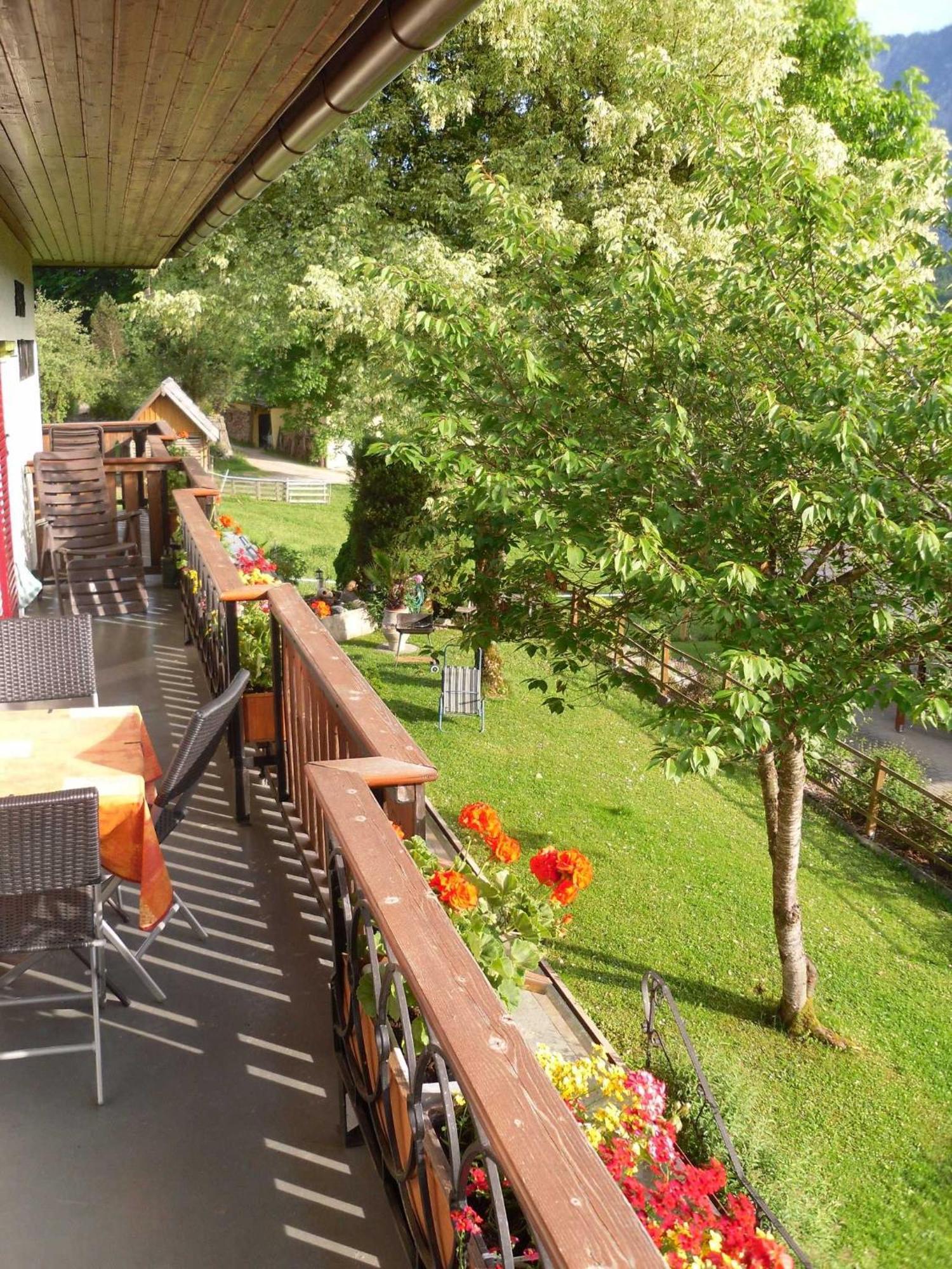 Ferienwohnungen Haus Elisabeth Bad Goisern Esterno foto