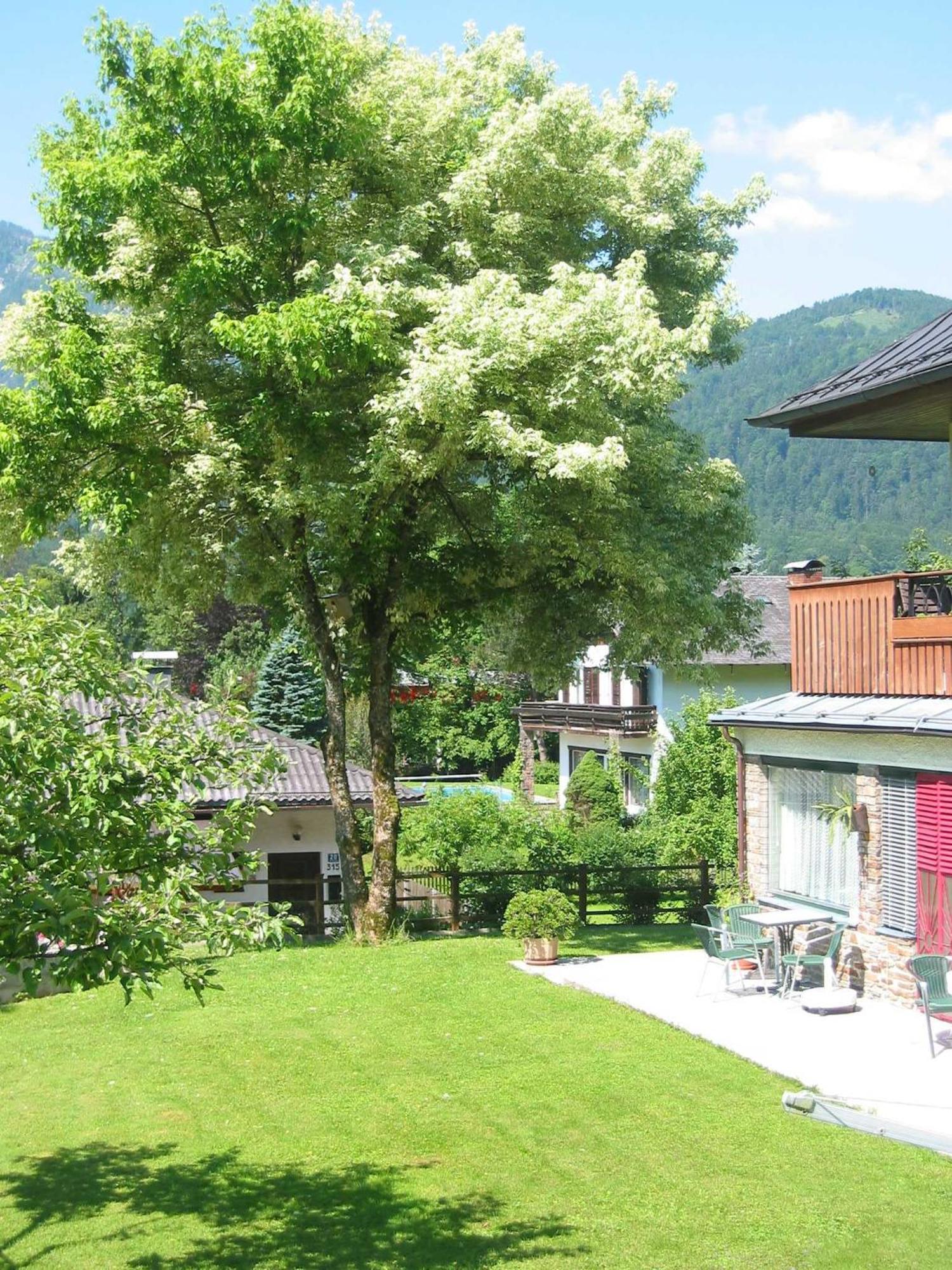 Ferienwohnungen Haus Elisabeth Bad Goisern Esterno foto