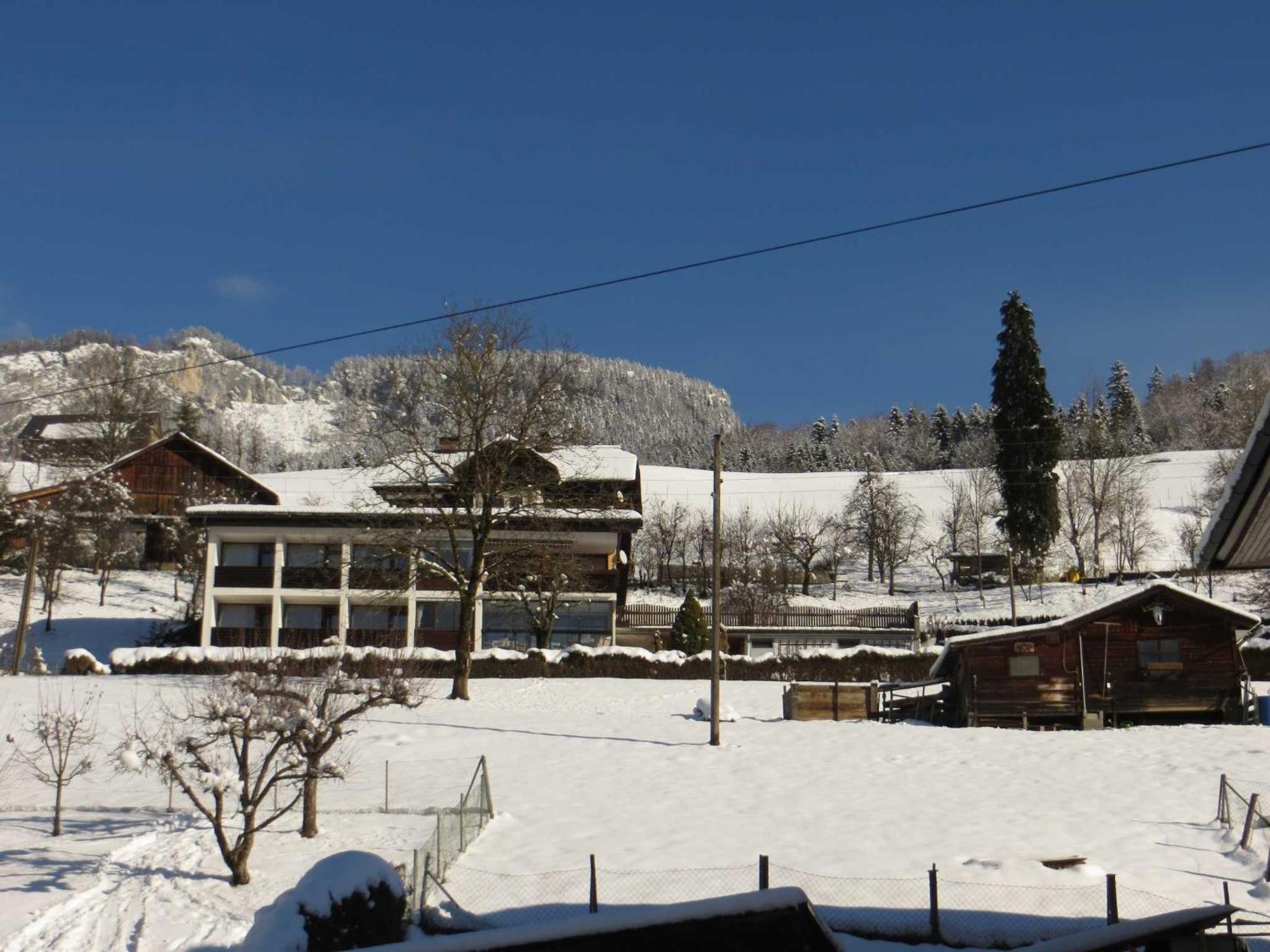 Ferienwohnungen Haus Elisabeth Bad Goisern Esterno foto