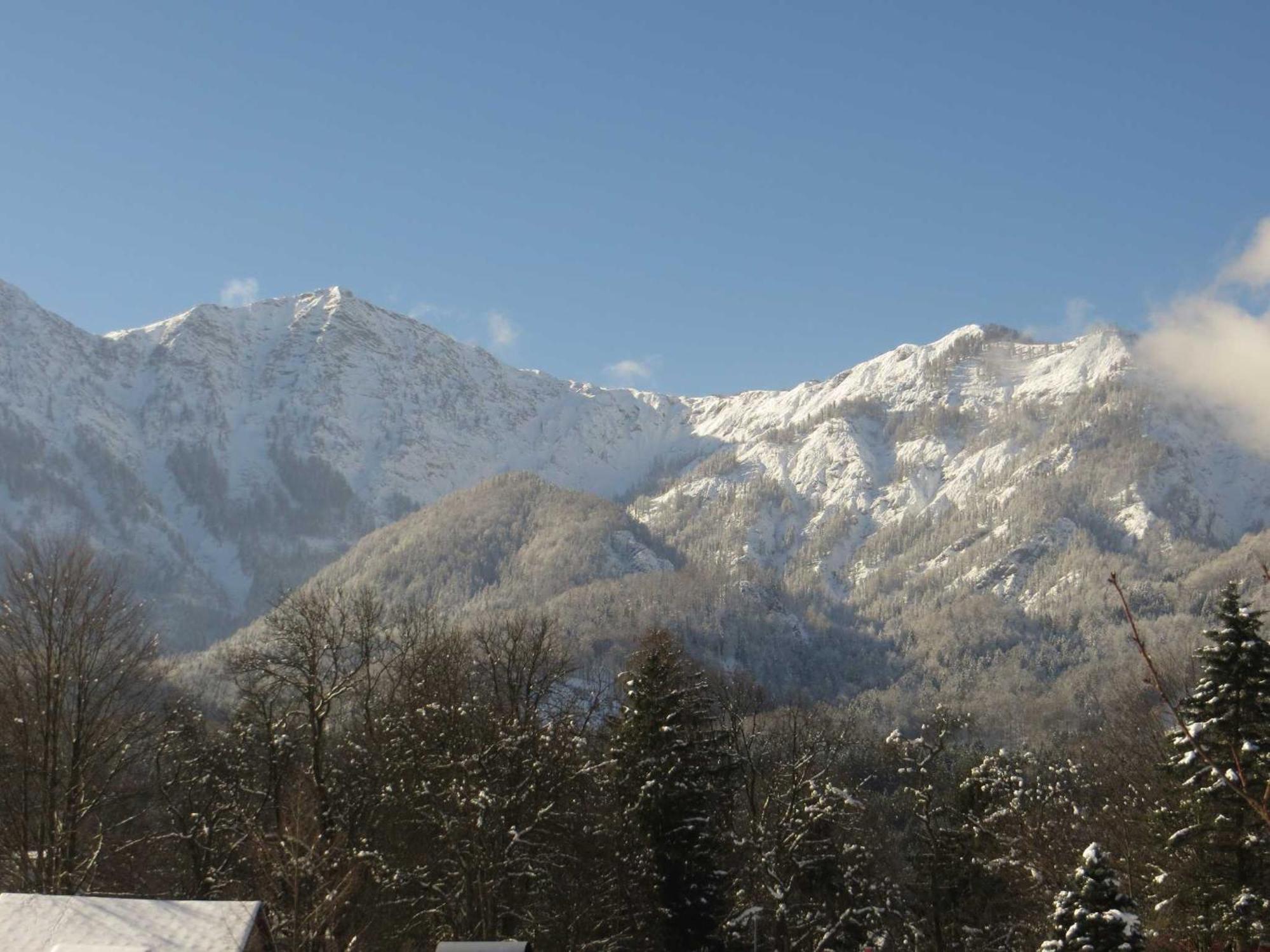 Ferienwohnungen Haus Elisabeth Bad Goisern Esterno foto