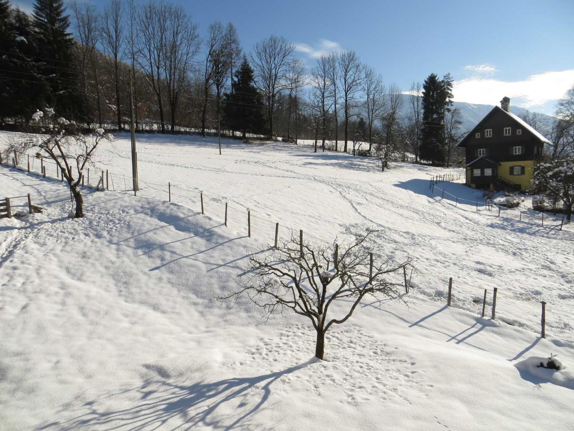 Ferienwohnungen Haus Elisabeth Bad Goisern Esterno foto